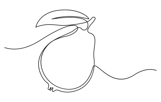 Single continuous line drawing whole and half sliced healthy organic java guava for orchard logo identity, Single one line drawing fruits concept
