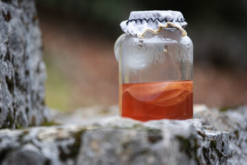 A close-up of a homemade kombucha jar with visible SCOBY, placed on a rustic stone in a forest setting. Natural fermentation, probiotic tea, healthy lifestyle.