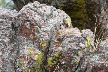 Mossy stained rocks in Flagstaff mountain, Boulder, Colorado 