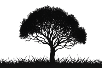 Black Tree Silhouette on a Transparent Background