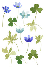Primroses set, first spring flowers blue, blue, vector illustration, set of forest flowers and leaves, delicate colors