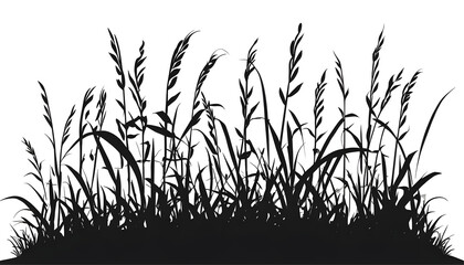 Tall Grass Silhouettes on a Transparent Background