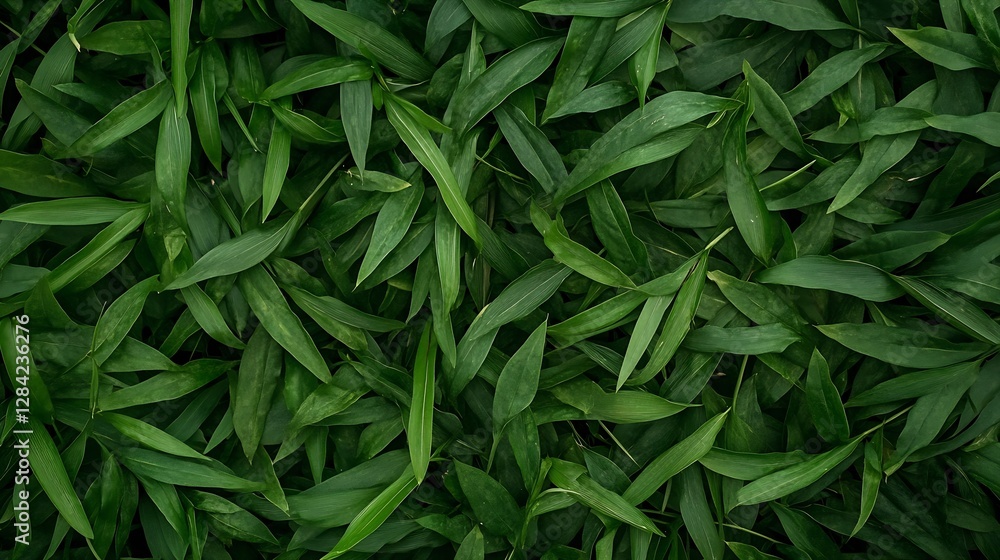 Poster lush green leaves creating a beautiful natural background texture : generative ai