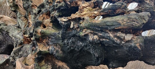 old wood texture