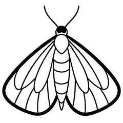 Mystic Moth Linework