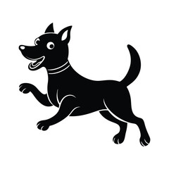 black and white cute dog