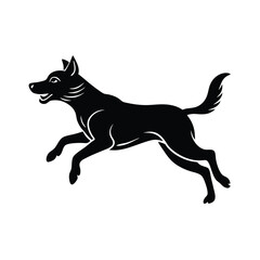 black and white dog running