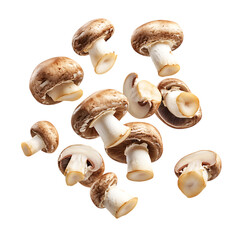 Brown Mushrooms Falling PNG Against Transparent Background for Organic Food, Culinary Design, or Natural Ingredient Promotions