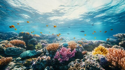 Vibrant Underwater Coral Reef Ecosystem with Schools of Fish in Turquoise Waters
