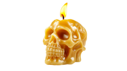 Creative skull shaped candle burning brightly