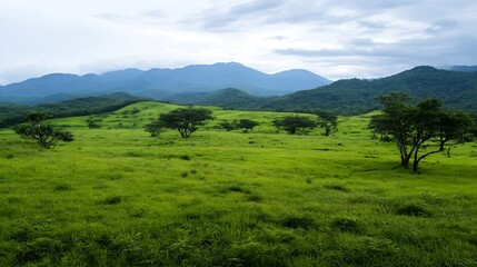 Obraz premium Panoramic View of Lush Green Hills and Mountains Under Cloudy Sky : Generative AI