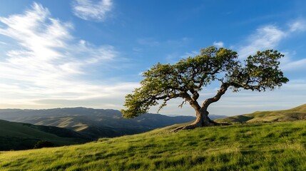 Obraz premium Beautiful solitary oak tree on lush green hillside under a clear blue sky at golden hour : Generative AI