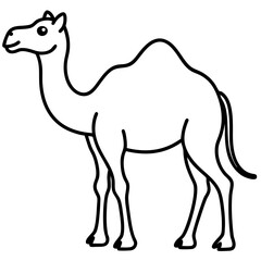 Nomadic Camel Vector