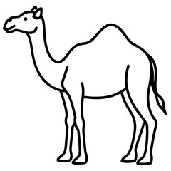 Nomadic Camel Vector