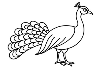 Peacock Silhouette Art