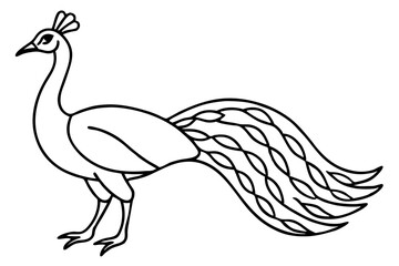 Peacock Silhouette Art