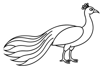 Peacock Silhouette Art