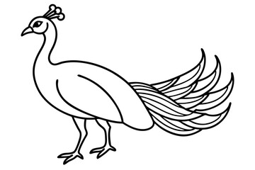 Peacock Silhouette Art