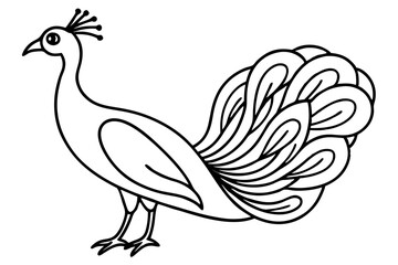 Peacock Silhouette Art