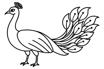 Peacock Silhouette Art