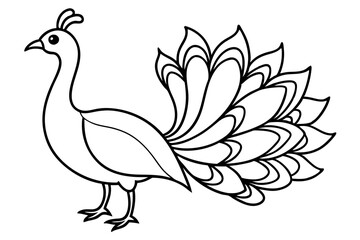 Peacock Silhouette Art
