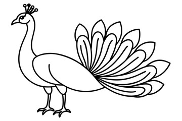 Peacock Silhouette Art