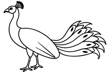 Peacock Silhouette Art