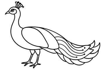 Peacock Silhouette Art