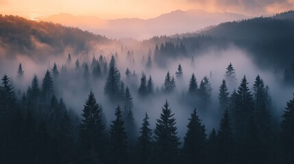Obraz premium Misty forest landscape at dawn with mountains in the background, serene atmosphere and soft light