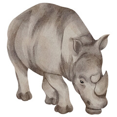 Obraz premium watercolor rhinoceros