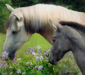 Fototapeta premium Portrait of a Mare and her Foal