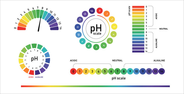 Ph level of acid and alkaline balance. Scale indicator for litmus paper test. Vector isolated