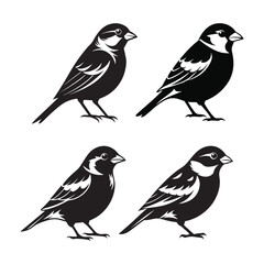 Bird Silhouette Black and White Vector Illustration