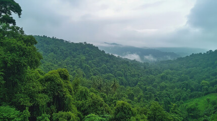 International Day of Forests