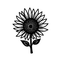 Elegant Sunflower Silhouette on White Backdrop