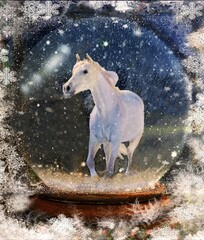 White Horse in a Snow Globe