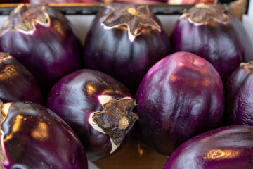 Fresh round eggplants with glossy purple skin at a farmers market. Ideal for food photography, organic produce, healthy eating, and vegetarian meal preparation
