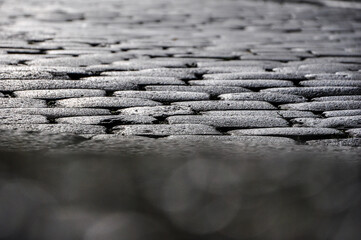 feuchte Pflastersteine im Fokus