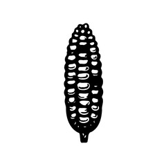 Monochrome Corn Cob Illustration Graphic