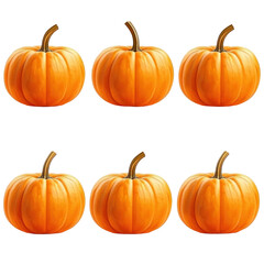 Obraz premium A set of pumpkin isolated on white background
