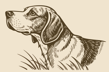 Beagle puppy vector illustration