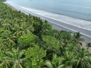 Tropical forest meets beach in Paquera, Costa Rica
