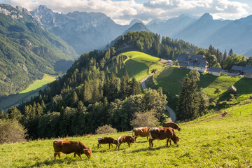 Beautiful alpine landscape from Logar valley in Slovenia © Mazur Travel