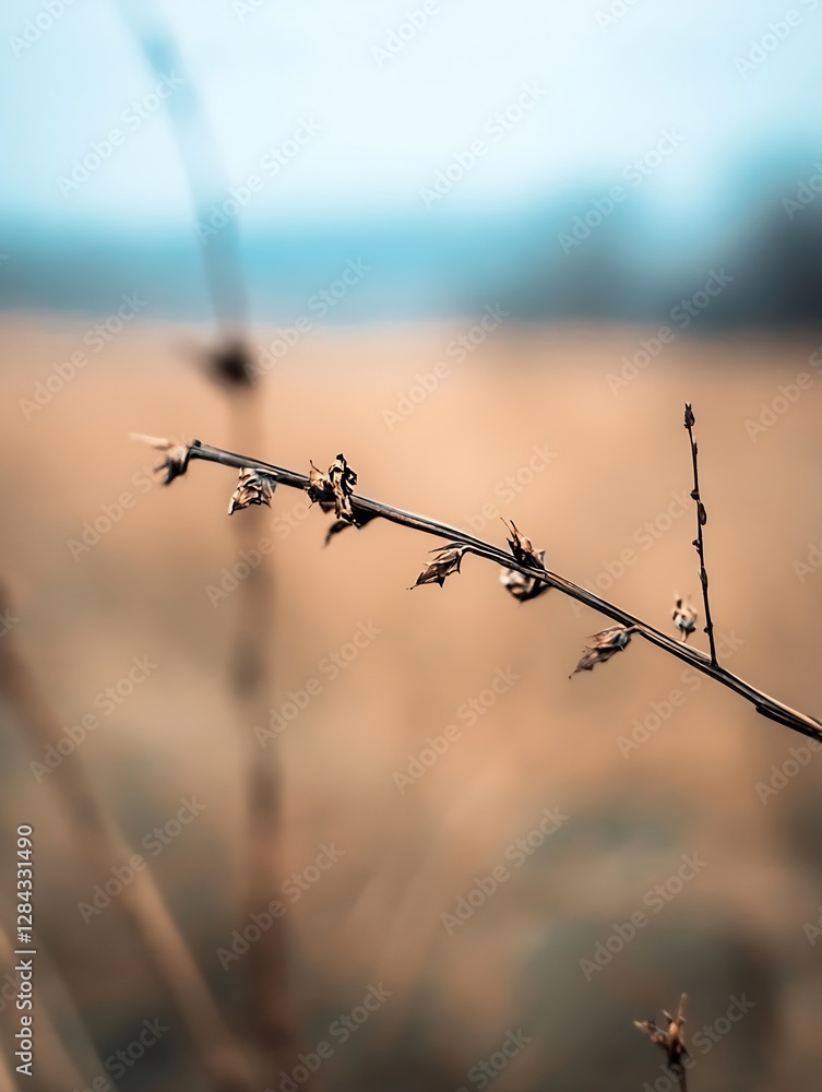 Poster Delicate Dry Twigs on a Brown Background Creating an Artistic Natural Composition : Generative AI