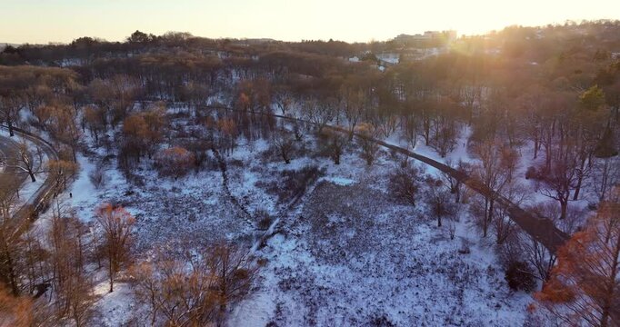Winter Aerial Of The Arnold Arboretum at Sunset