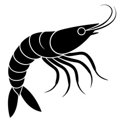 fish on a white background