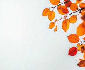 Thin branches of a tree against a light sky. Cropped frame: only a few thin branches with the last autumn leaves, and behind them a blurred sky. 