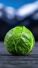 Obraz premium Fresh green cabbage on a dark surface with a blurred mountainous background.