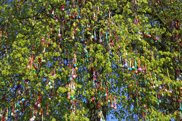 Colorful handmade Easter eggs on an linden tree