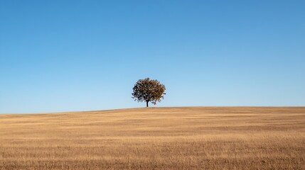 Solitary oak tree standing gracefully on a vast golden field under a clear blue sky representing nature's beauty : Generative AI